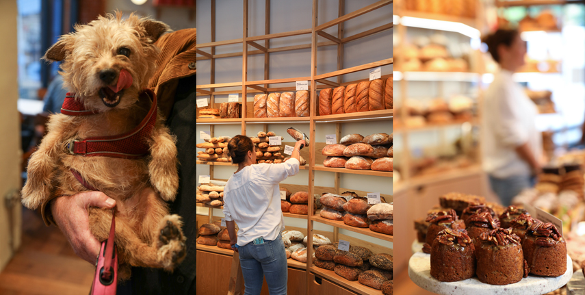 London portrait photographer for staff portraits for a bakery